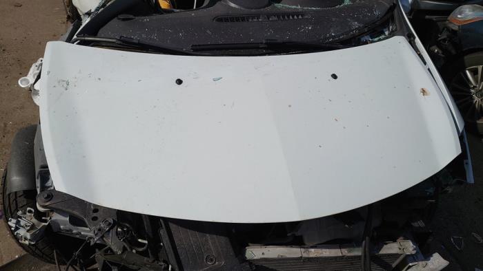 Renault Clio III 1.2 16V TCe 100 Sloopvoertuig (2010, Wit)