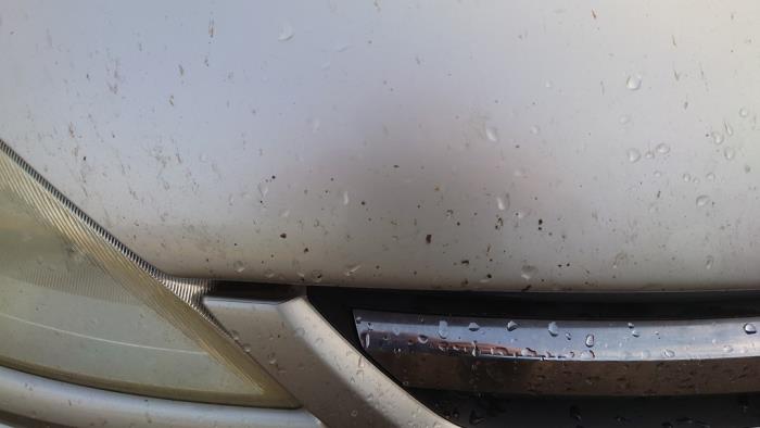 Opel Corsa C 1.2 16V Sloopvoertuig (2004, Grijs)