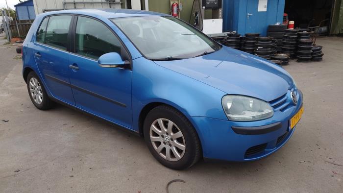 Volkswagen Golf V 1.9 TDI Sloopvoertuig (2004, Blauw)