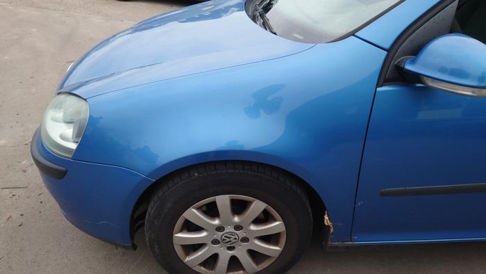 Volkswagen Golf V 1.9 TDI Sloopvoertuig (2004, Blauw)