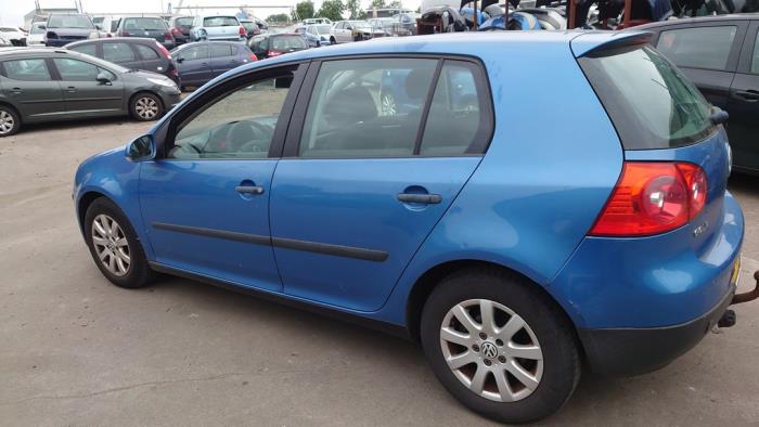 Volkswagen Golf V 1.9 TDI Sloopvoertuig (2004, Blauw)
