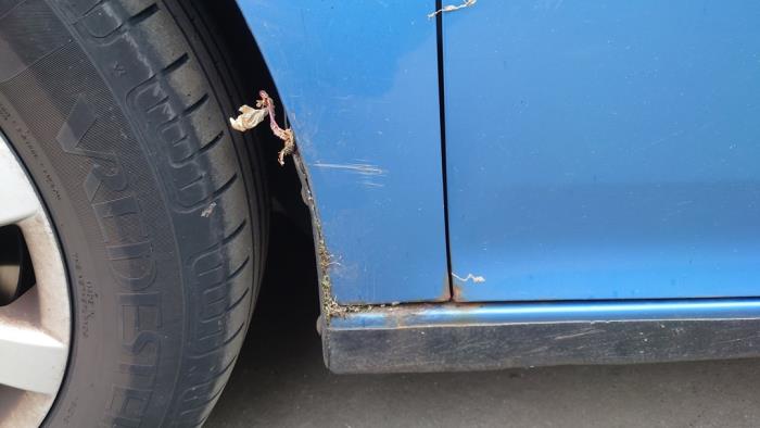 Volkswagen Golf V 1.9 TDI Sloopvoertuig (2004, Blauw)