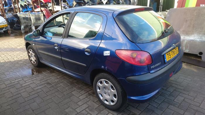 Peugeot 206 1.4 XR,XS,XT,Gentry Sloopvoertuig (2006, Blauw)