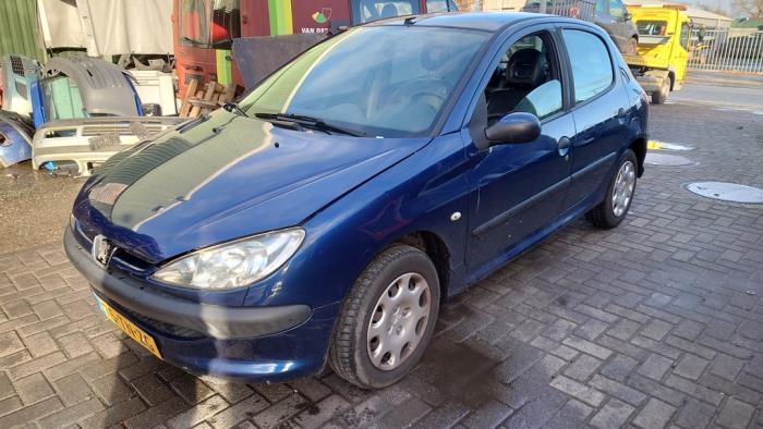 Peugeot 206 1.4 XR,XS,XT,Gentry Sloopvoertuig (2006, Blauw)
