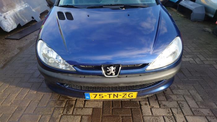 Peugeot 206 1.4 XR,XS,XT,Gentry Sloopvoertuig (2006, Blauw)