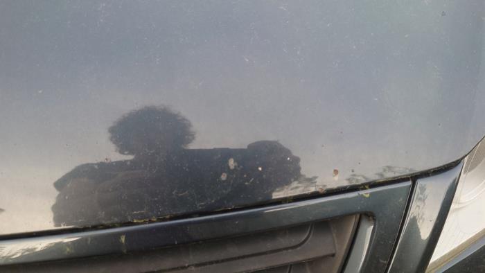 Volkswagen Polo IV 1.2 Sloopvoertuig (2005, Grijs)