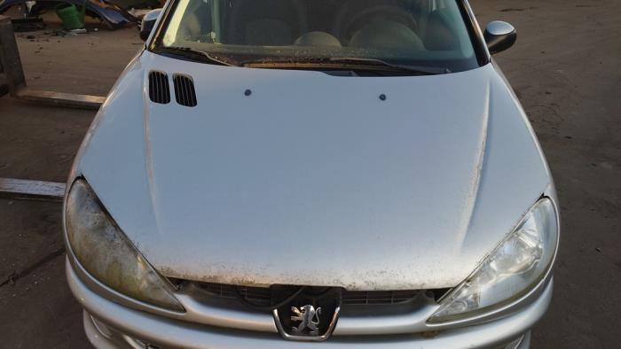 Peugeot 206 1.4 XR,XS,XT,Gentry Sloopvoertuig (2008, Grijs)