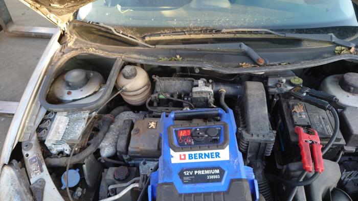 Peugeot 206 1.4 XR,XS,XT,Gentry Sloopvoertuig (2008, Grijs)