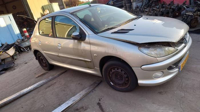 Peugeot 206 1.4 XR,XS,XT,Gentry Sloopvoertuig (2008, Grijs)