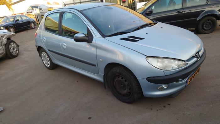 Peugeot 206 1.4 16V Sloopvoertuig (2004, Grijs)