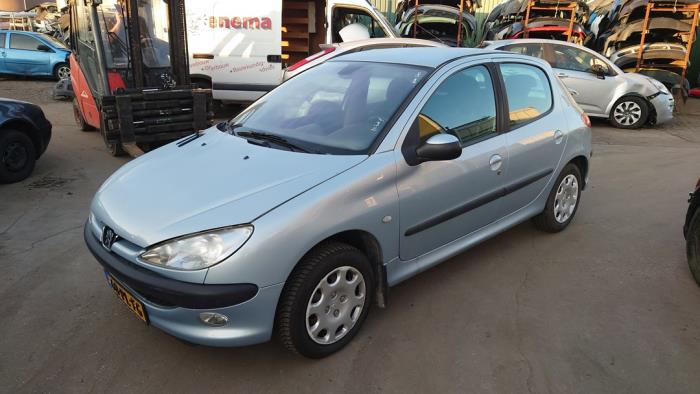Peugeot 206 1.4 16V Sloopvoertuig (2004, Grijs)