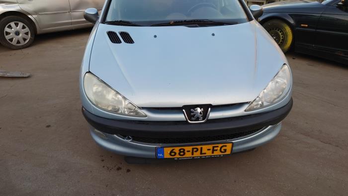 Peugeot 206 1.4 16V Sloopvoertuig (2004, Grijs)