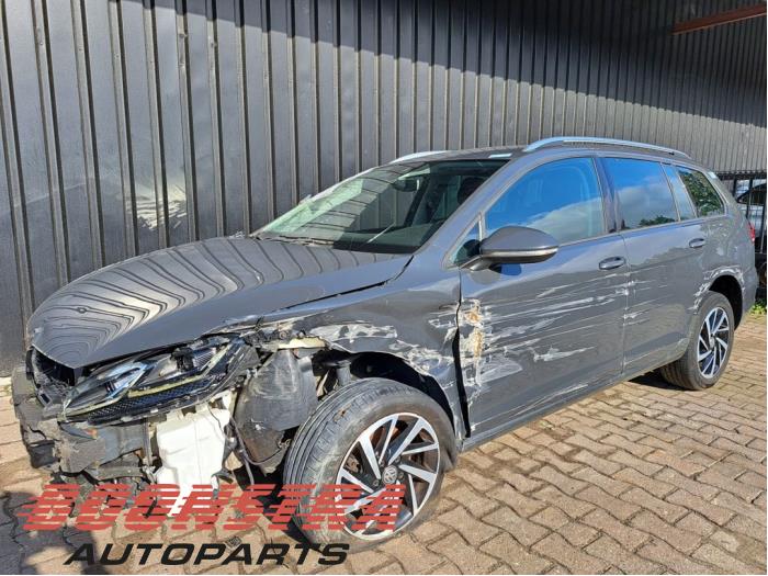 Volkswagen Golf VII Variant 1.5 TSI Evo BMT 16V Sloopvoertuig (2018, Grijs)