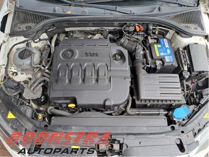 Skoda Octavia 1.6 TDI GreenTec 16V Sloopvoertuig (2013, Wit)