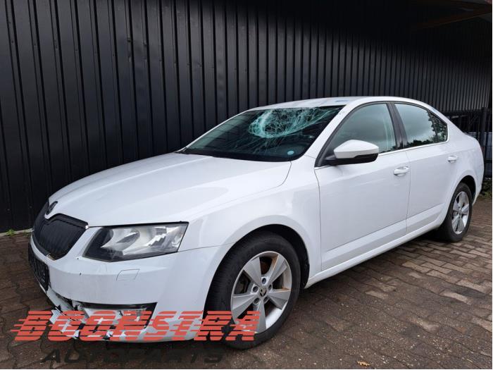 Skoda Octavia 1.6 TDI GreenTec 16V Sloopvoertuig (2013, Wit)