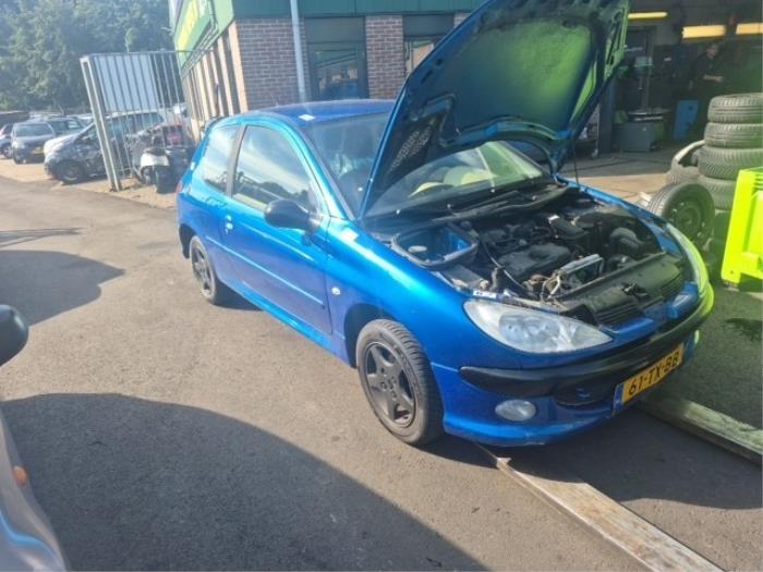 Peugeot 206 1.4 XR,XS,XT,Gentry Sloopvoertuig (2007, Blauw)