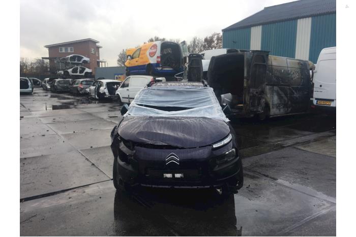 Citroen C4 Cactus 1.2 PureTech 82 12V Sloopvoertuig (2016)