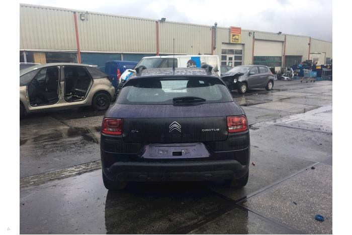 Citroen C4 Cactus 1.2 PureTech 82 12V Sloopvoertuig (2016)