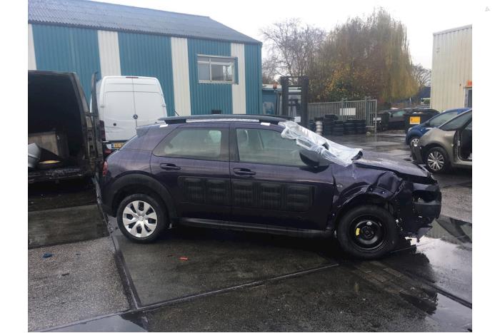 Citroen C4 Cactus 1.2 PureTech 82 12V Sloopvoertuig (2016)