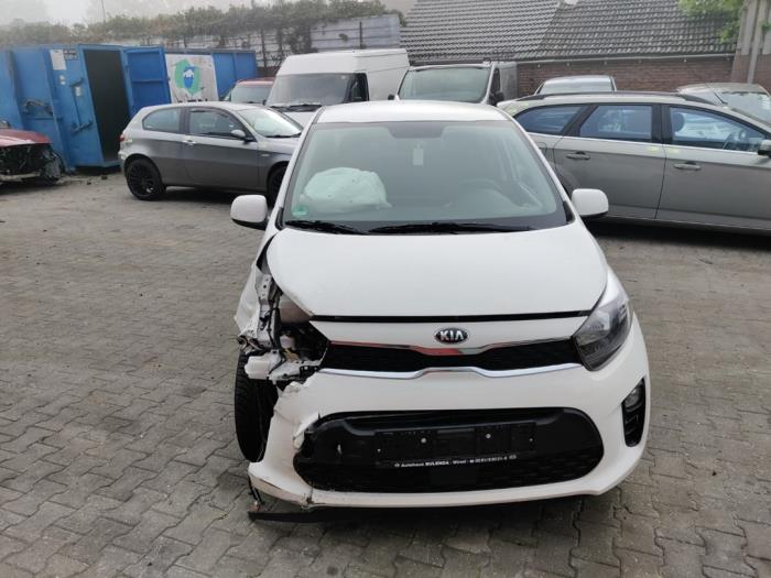 Kia Picanto 1.0 12V Sloopvoertuig (2020, Wit)