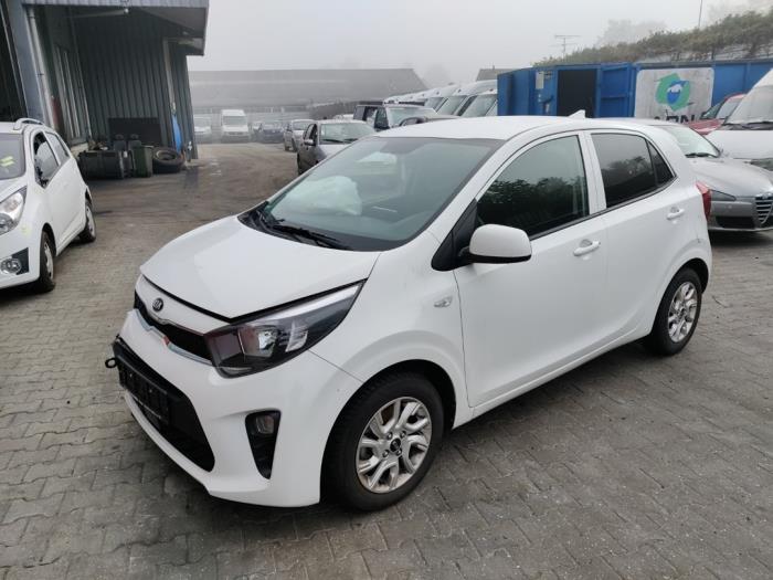 Kia Picanto 1.0 12V Sloopvoertuig (2020, Wit)