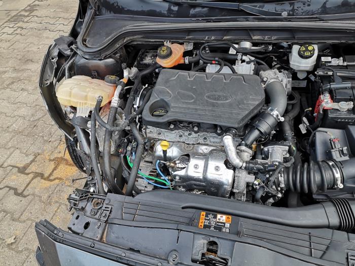 Ford Focus 4 1.5 EcoBlue 120 Sloopvoertuig (2019, Grijs)