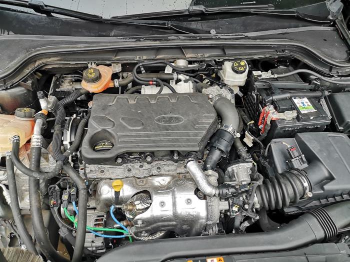 Ford Focus 4 1.5 EcoBlue 120 Sloopvoertuig (2019, Grijs)