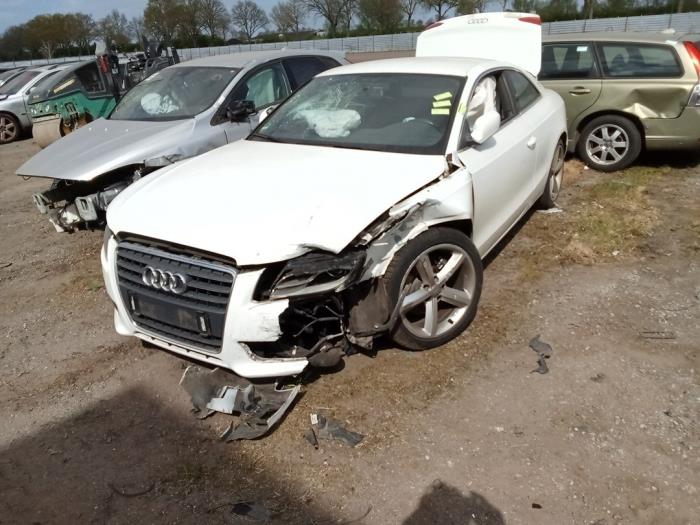 Foto donor auto