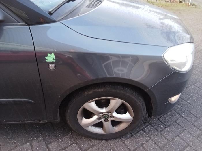 Skoda Fabia II Combi 1.2 TDI 12V Greenline Sloopvoertuig (2011, Grijs)