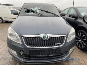 Skoda Fabia II Combi 1.2 TDI 12V Greenline  (Sloop)