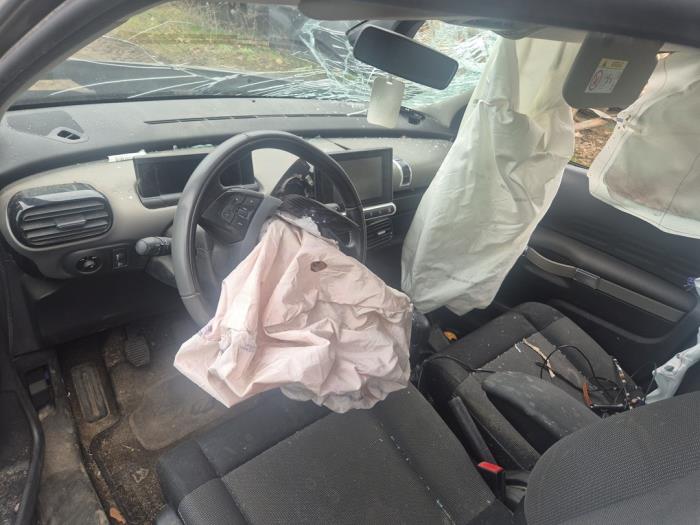 Citroen C4 Cactus 1.2 PureTech 110 12V Sloopvoertuig (2017, Grijs)