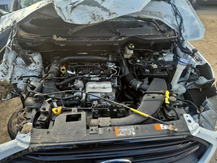 Ford EcoSport 1.0 EcoBoost 12V 125 Sloopvoertuig (2018, Wit)