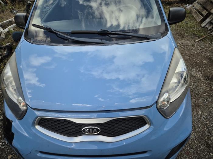 Kia Picanto 1.0 12V Sloopvoertuig (2011, Blauw)