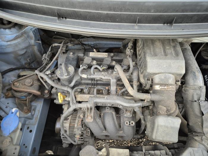 Kia Picanto 1.0 12V Sloopvoertuig (2011, Blauw)