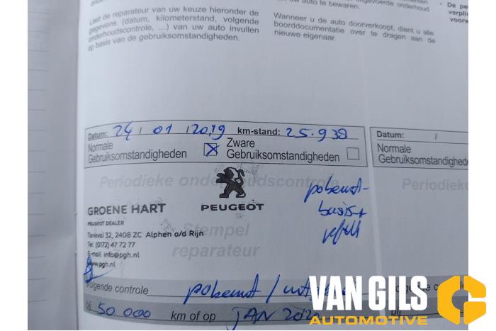 Peugeot 208 I 1.6 Blue HDi 100 Sloopvoertuig (2018, Wit)