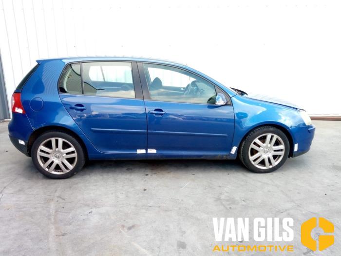 Volkswagen Golf V 2.0 TDI 16V Sloopvoertuig (2005, Blauw)