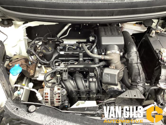 Kia Picanto 1.0 12V Sloopvoertuig (2013, Wit)