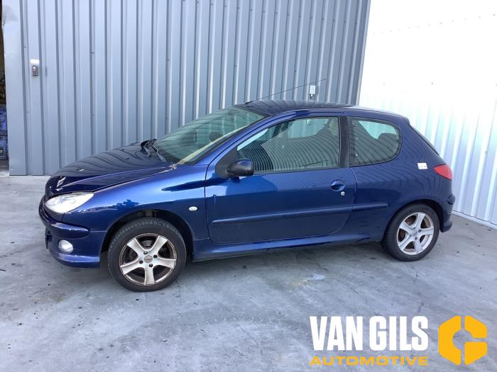 Peugeot 206 1.4 XR,XS,XT,Gentry Sloopvoertuig (2007, Blauw)