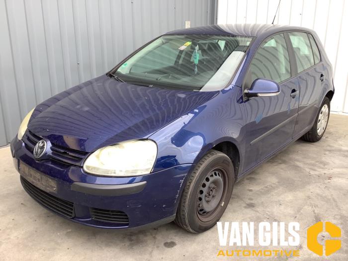 Volkswagen Golf V 1.4 16V Sloopvoertuig (2005, Blauw)