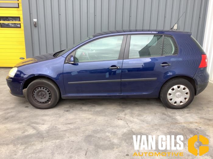 Volkswagen Golf V 1.4 16V Sloopvoertuig (2005, Blauw)