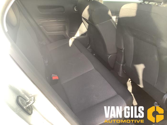 Citroen C4 Cactus 1.2 PureTech 110 12V Sloopvoertuig (2015, Metallic, Zilvergrijs)