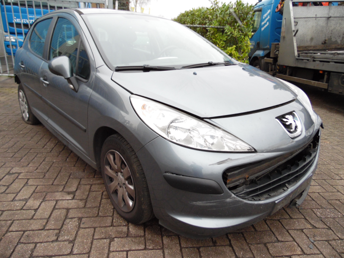 Peugeot 207 wc