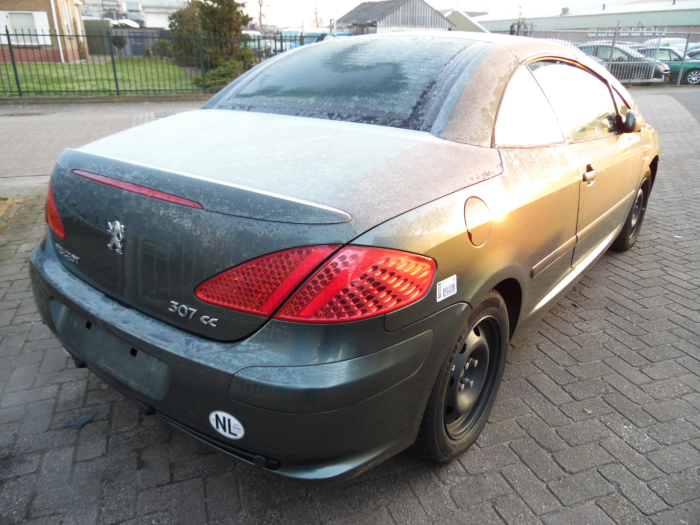 Peugeot 307 CC 2.0 16V Sloopvoertuig (2004, Grijs)