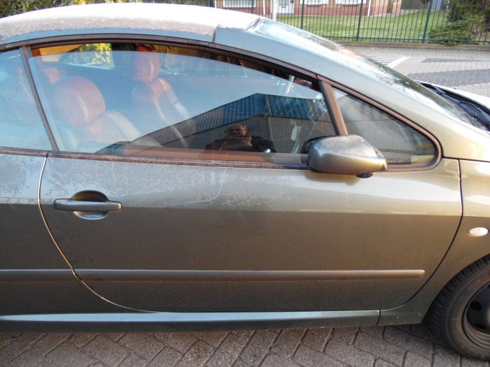 Peugeot 307 CC 2.0 16V Sloopvoertuig (2004, Grijs)