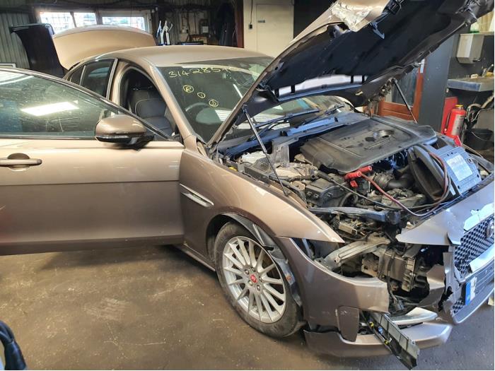 Jaguar XE 2.0 D E-Performance 16V Sloopvoertuig (2015, Brons, Bruin)