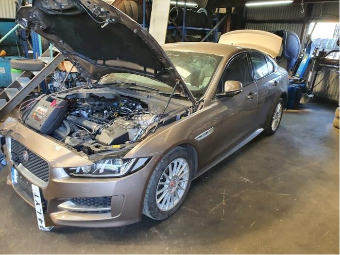 Jaguar XE 2.0 D E-Performance 16V Sloopvoertuig (2015, Brons, Bruin)