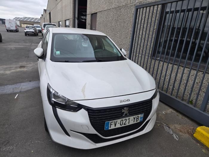 Foto donor auto