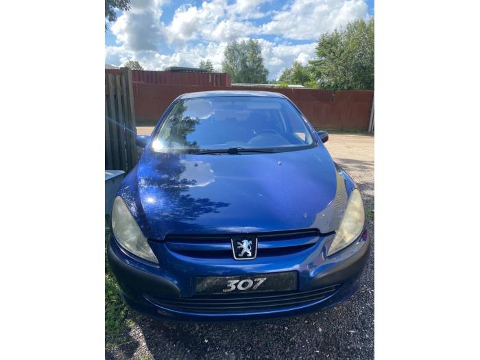 Peugeot 307 1.6 16V Sloopvoertuig (2003, Blauw)