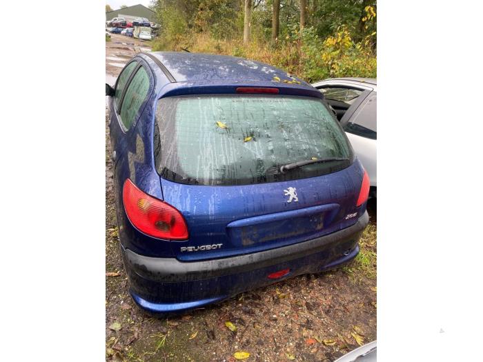 Peugeot 206 1.4 XR,XS,XT,Gentry Sloopvoertuig (2006, Blauw)