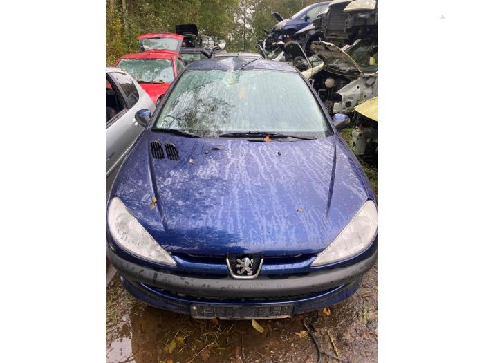 Peugeot 206 1.4 XR,XS,XT,Gentry Sloopvoertuig (2006, Blauw)